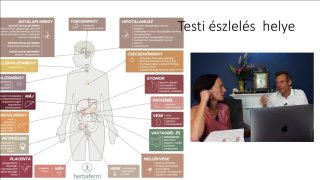 A konzultációra felkészülés, vonalvezető tanácsok konzultációkhoz, esetek 5 Gyakorlat - konzultáció - lépések